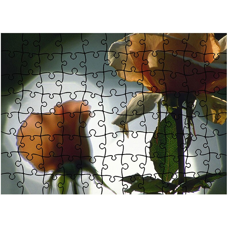 Puzzle Heartwork 96 piese, Sedinta foto, Latime 40,5 cm x Inaltime 28,7 cm