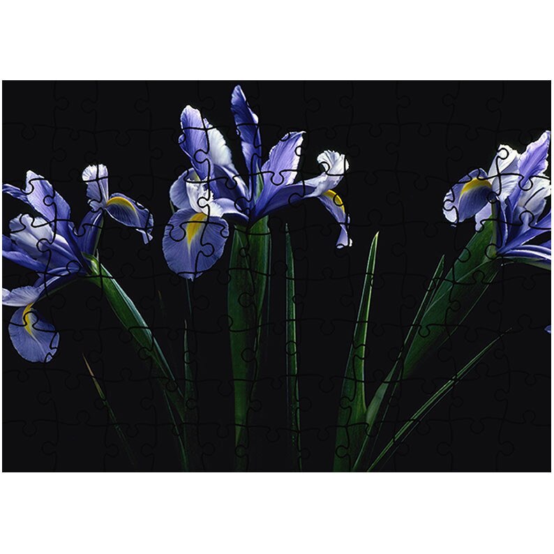 Puzzle Heartwork 96 piese, Flori mov, Latime 40,5 cm x Inaltime 28,7 cm