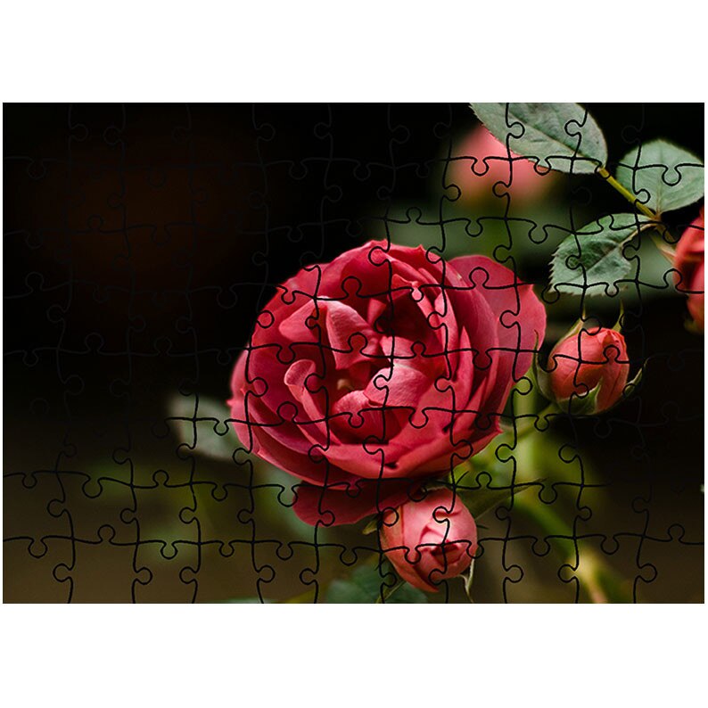Puzzle Heartwork 96 piese, Muguri de trandafir, Latime 40,5 cm x Inaltime 28,7 cm