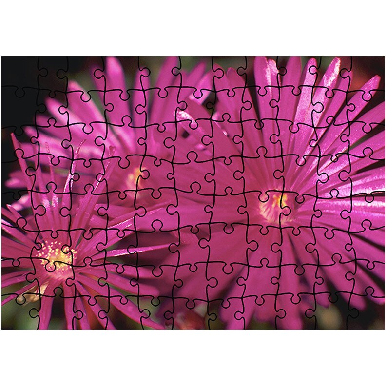 Puzzle Heartwork 96 piese, Petale subtiri, Latime 40,5 cm x Inaltime 28,7 cm