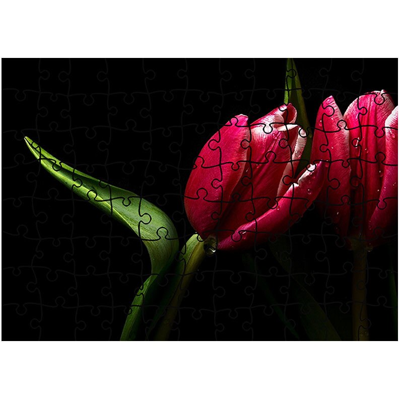 Puzzle Heartwork 96 piese, Lalele elegante, Latime 40,5 cm x Inaltime 28,7 cm