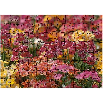 Puzzle Heartwork 96 piese, Aglomeratie de flori, Latime 40,5 cm x Inaltime 28,7 cm Puzzle Heartwork 96 piese, Aglomeratie de flori, Latime 40,5 cm x Inaltime 28,7 cm