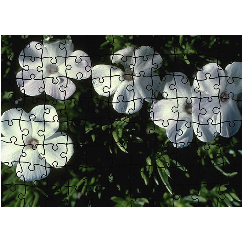 Puzzle Heartwork 96 piese, Cinci flori albe ca neaua, Latime 40,5 cm x Inaltime 28,7 cm