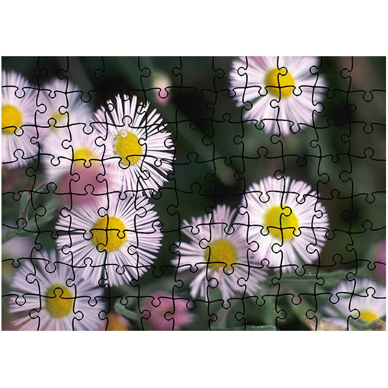 Puzzle Heartwork 96 piese, Flori de vara, Latime 40,5 cm x Inaltime 28,7 cm