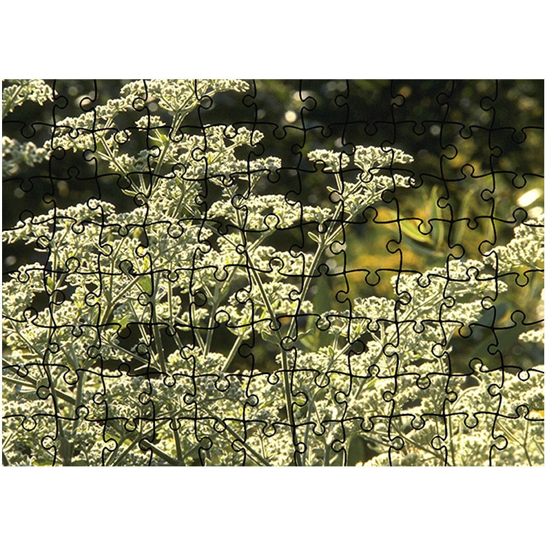 Puzzle Heartwork 96 piese, Pe intreg campul, Latime 40,5 cm x Inaltime 28,7 cm