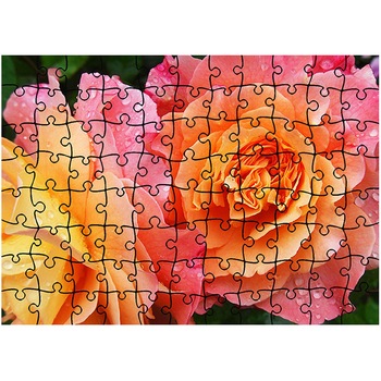Puzzle Heartwork 96 piese, Trandafiri in gradina, Latime 40,5 cm x Inaltime 28,7 cm Puzzle Heartwork 96 piese, Trandafiri in gradina, Latime 40,5 cm x Inaltime 28,7 cm