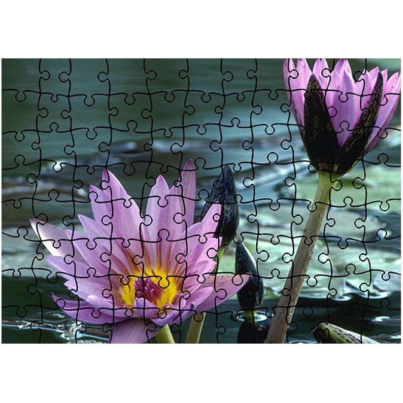 Puzzle Heartwork 96 piese, Flori violet de nuferi, Latime 40,5 cm x Inaltime 28,7 cm
