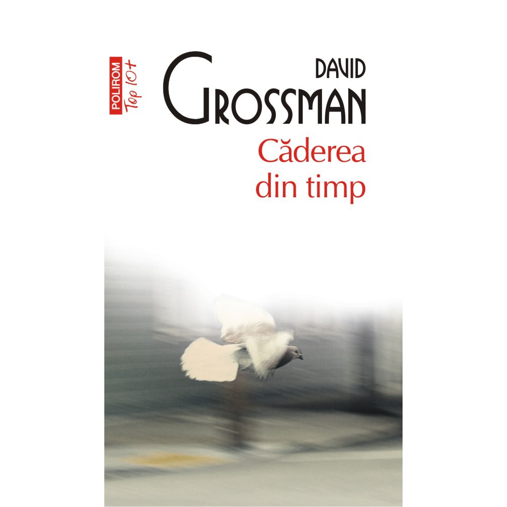 Caderea din timp.O poveste pe mai multe voci, David Grossman