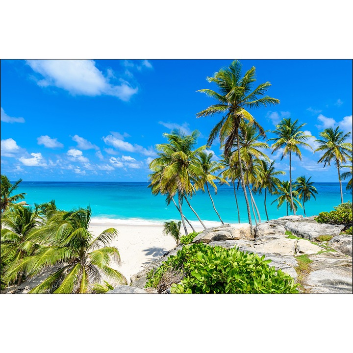 Фототапет Плаж Палми 400см x 280см Океан, Цветя, Гледка, Креативен декор, Декоративен, 3D Пейзаж, Кухня