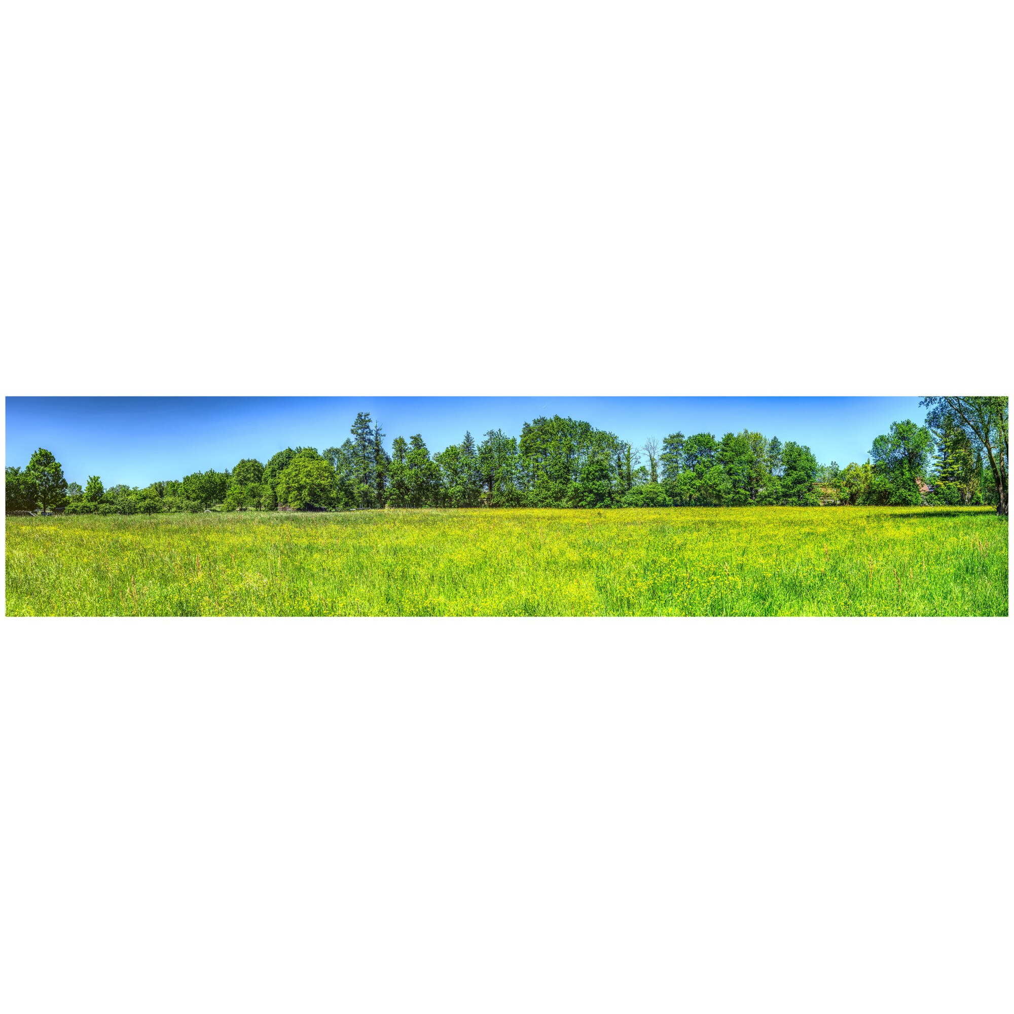 Fototapet Autoadeziv Pajiste, Copaci, Panoramic - NWL-033, 100 x 455 cm