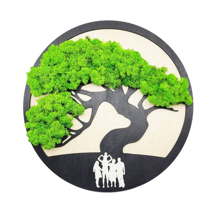 Aranjament licheni, tip tablou “BONSAI” negru/verde, 40cm, Crioflora