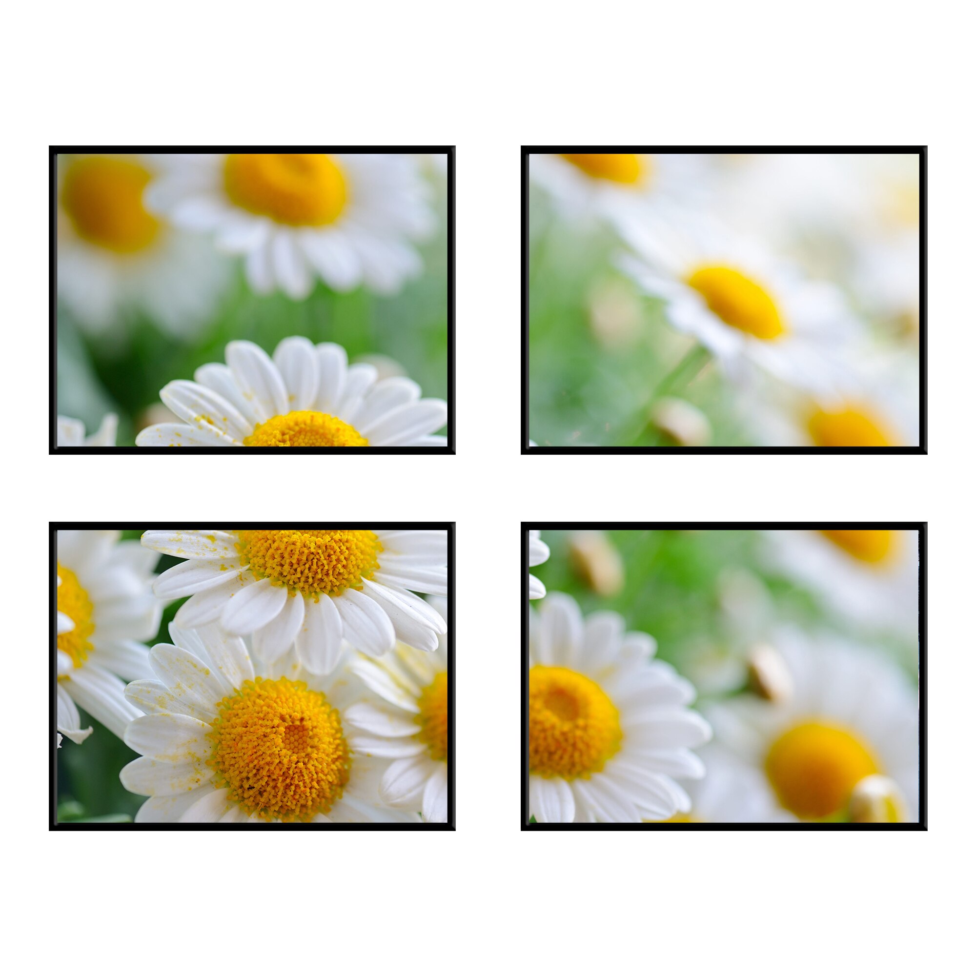 Set de 4 tablouri - Flowers, 40x30cm, PVC, rama din lemn