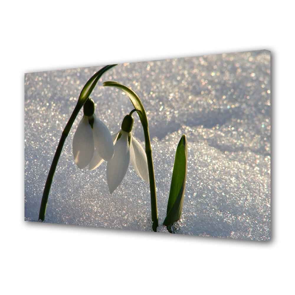 Tablou Canvas Doi Frati, 70 x 100 cm