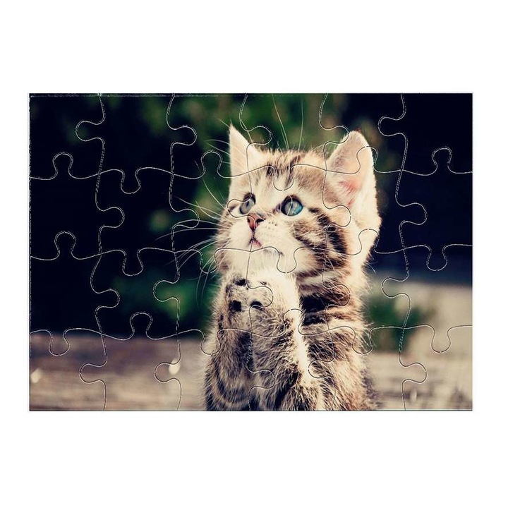 Aranyos kiscica 1311 puzzle 24 darabos