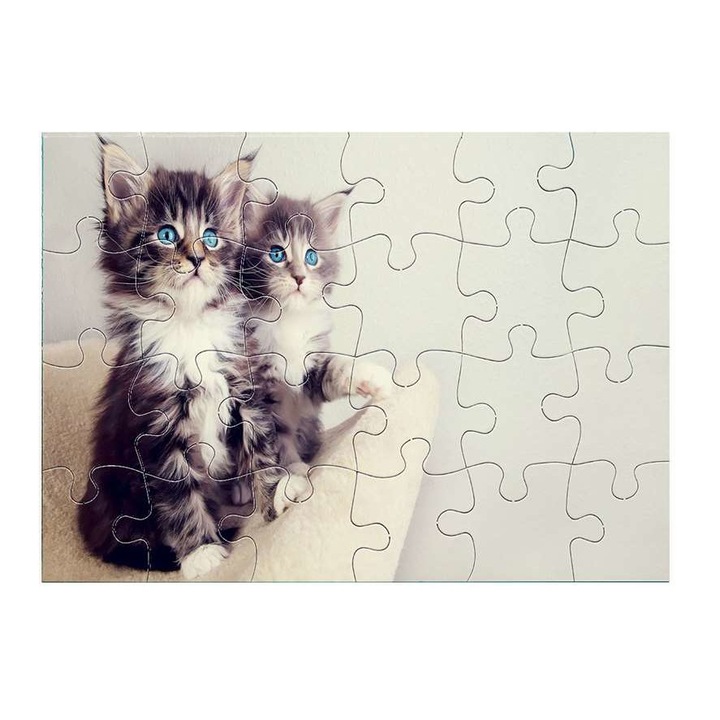 Пъзел, Сладко коте 2111, 24 части