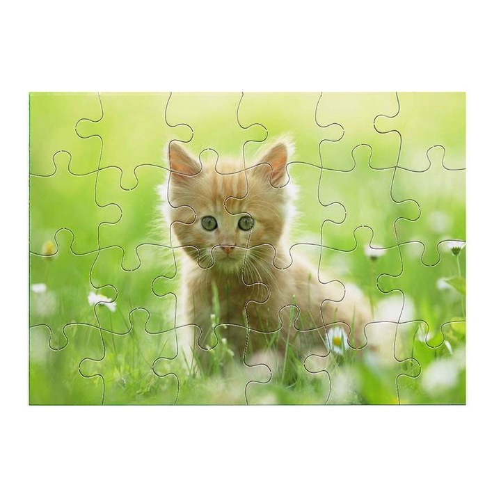 Сладко коте 5111 пъзел 24 части