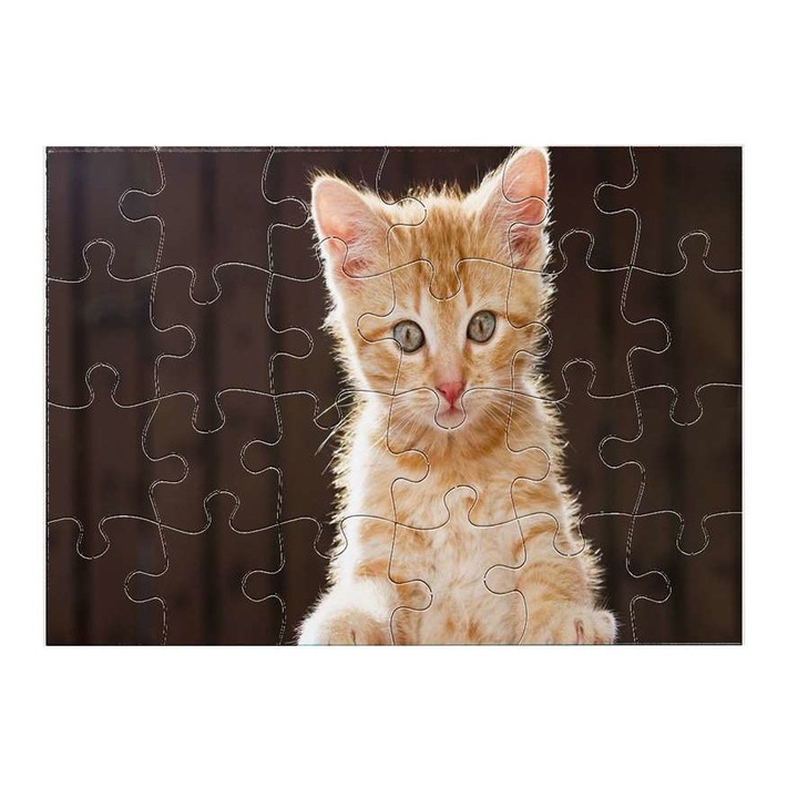 Пъзел Mobiltokguru Сладко коте 4211 Пъзел 24 части