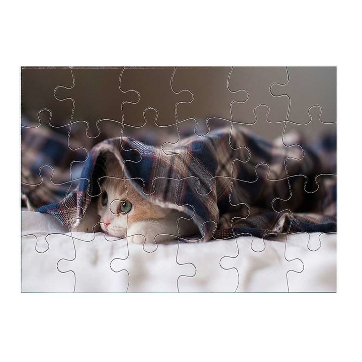 Сладко коте 2011 пъзел 24 части