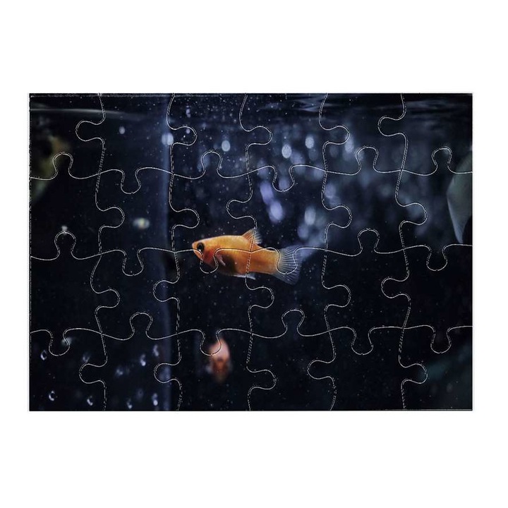 Пъзел Златна рибка 6511 24 части