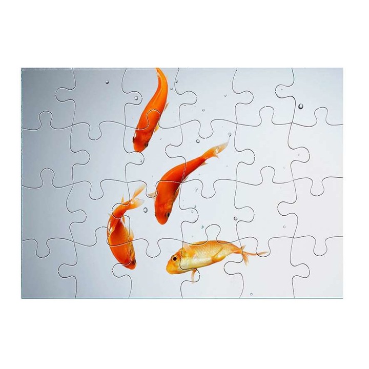 Пъзел Златна рибка 6411 24 части