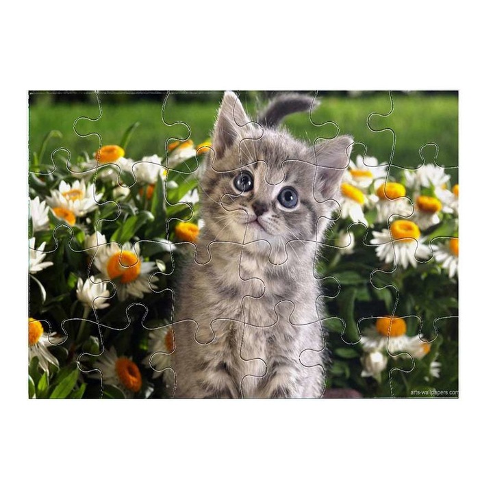 Aranyos kiscica 1811 puzzle 24 darabos