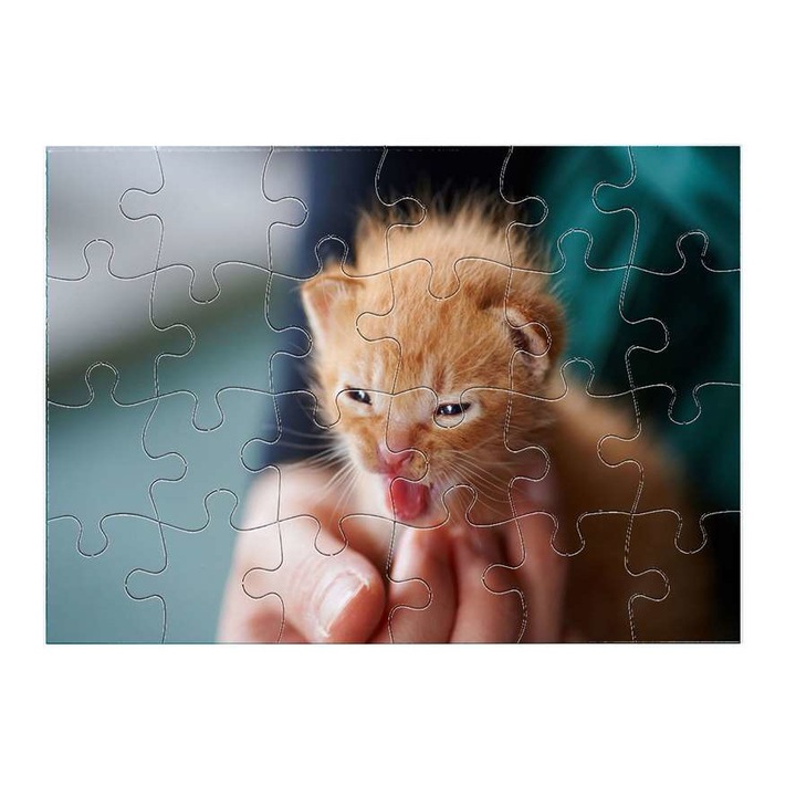 Aranyos kiscica 4311 puzzle 24 darabos