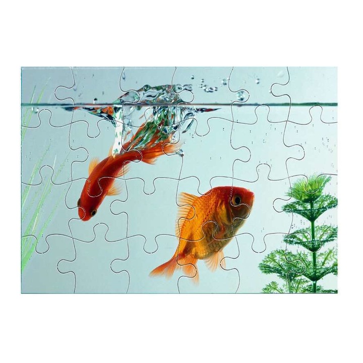 Пъзел Златна рибка 5811 24 части