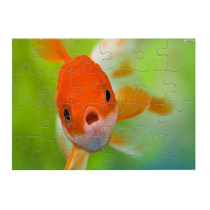 Aranyhal 1411 puzzle 24 darabos