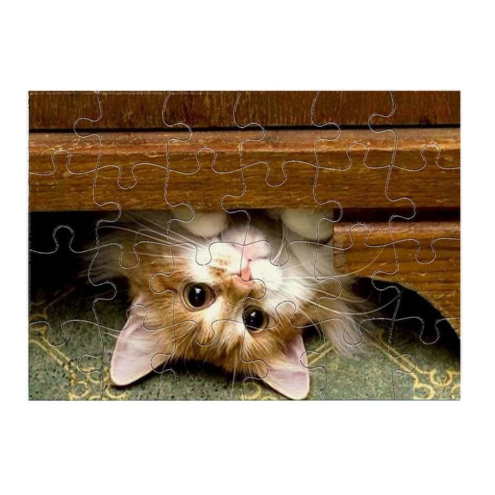 Сладко коте, 24 части