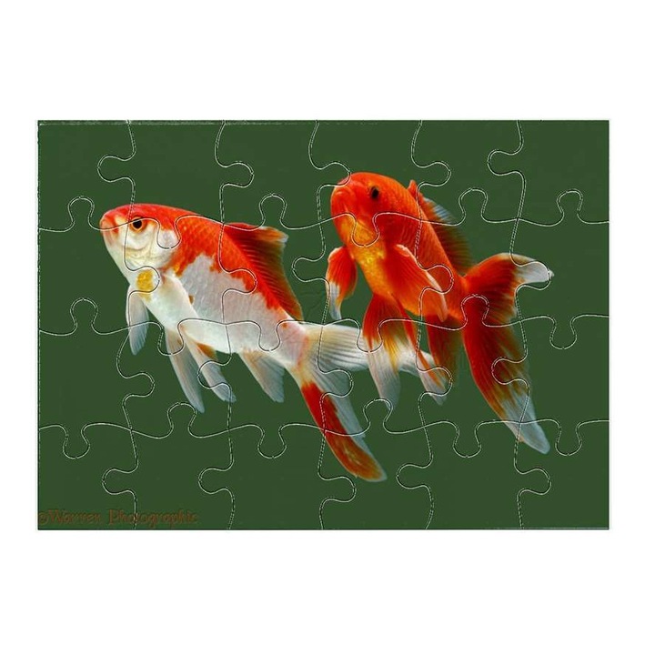 Пъзел Златна рибка 5211 24 части