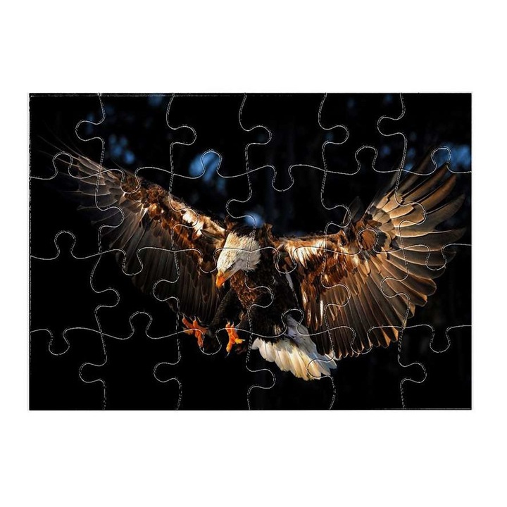 Пъзел American Eagle 4111 24 части