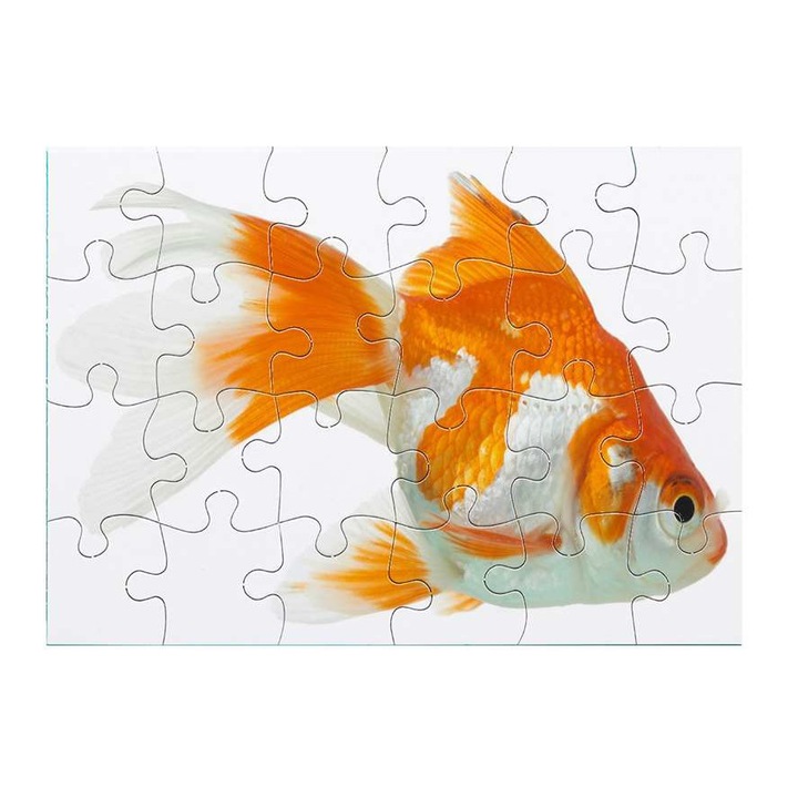 Aranyhal 3511 puzzle 24 darabos