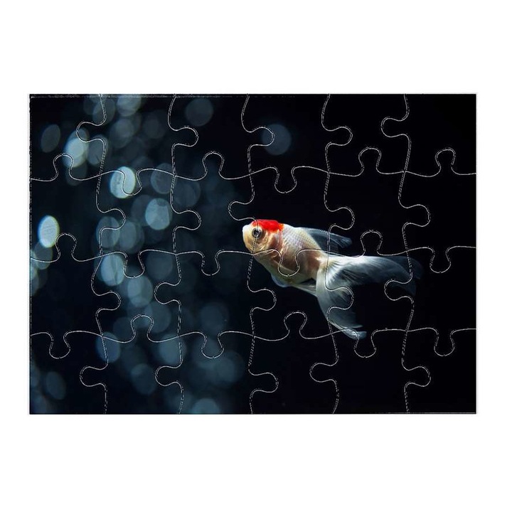 Пъзел Златна рибка 1211 24 части