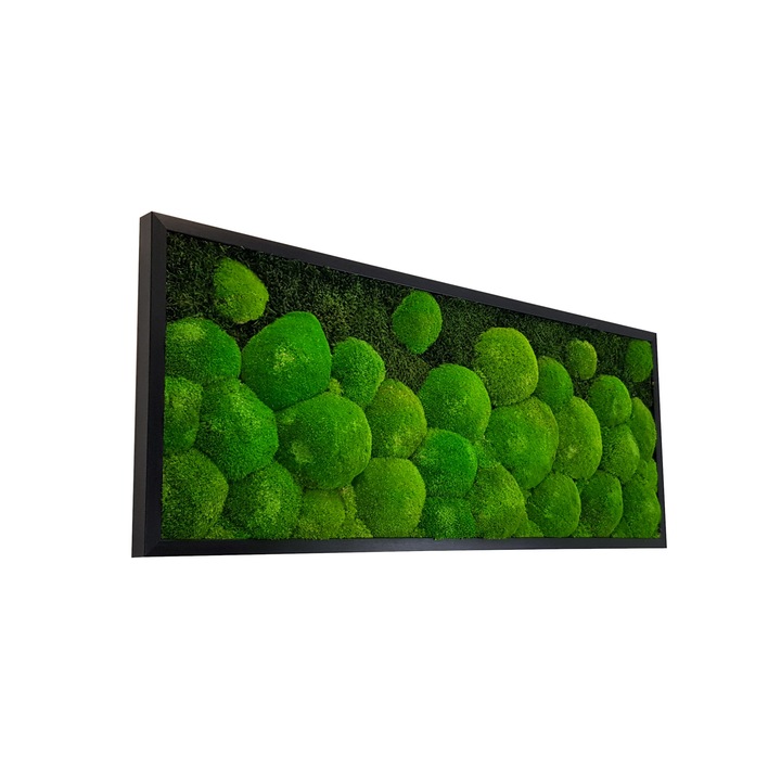 Tablou muschi bombati si muschi plat natural stabilizat de padure, Jolie Arts, dimensiune 40 x 100 cm