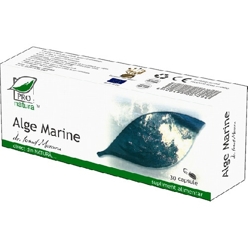 Alge Marine și Hârtie Se Combină Pentru A Crea Mobilier
