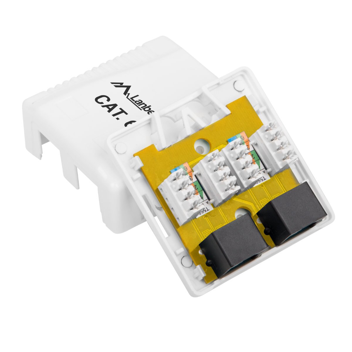 DOBO Cavo 25 metri Ethernet di Rete RJ45 Maschio Maschio ADSL Inter