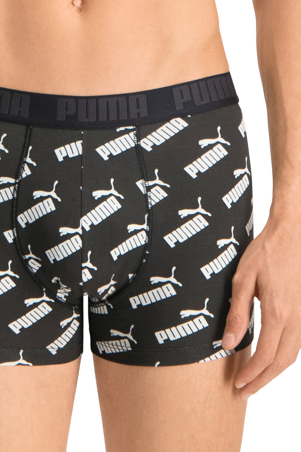 puma boxers