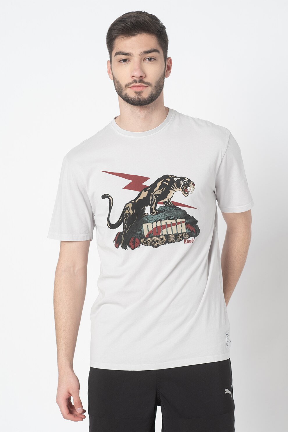 Puma, Tricou cu imprimeu grafic, Gri deschis/Rosu Bordeaux/Crem