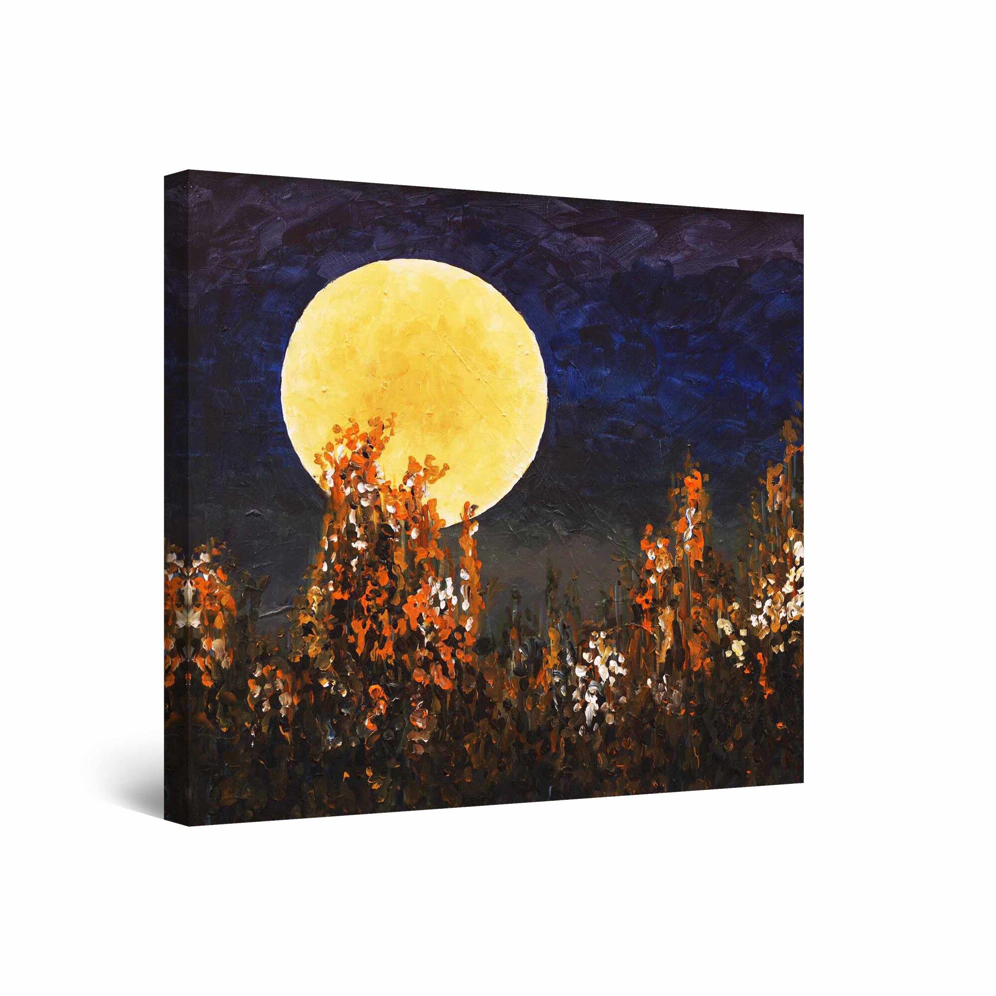 Tablou DualView Startonight Luna Plina, luminos in intuneric, 60 cm x 60 cm