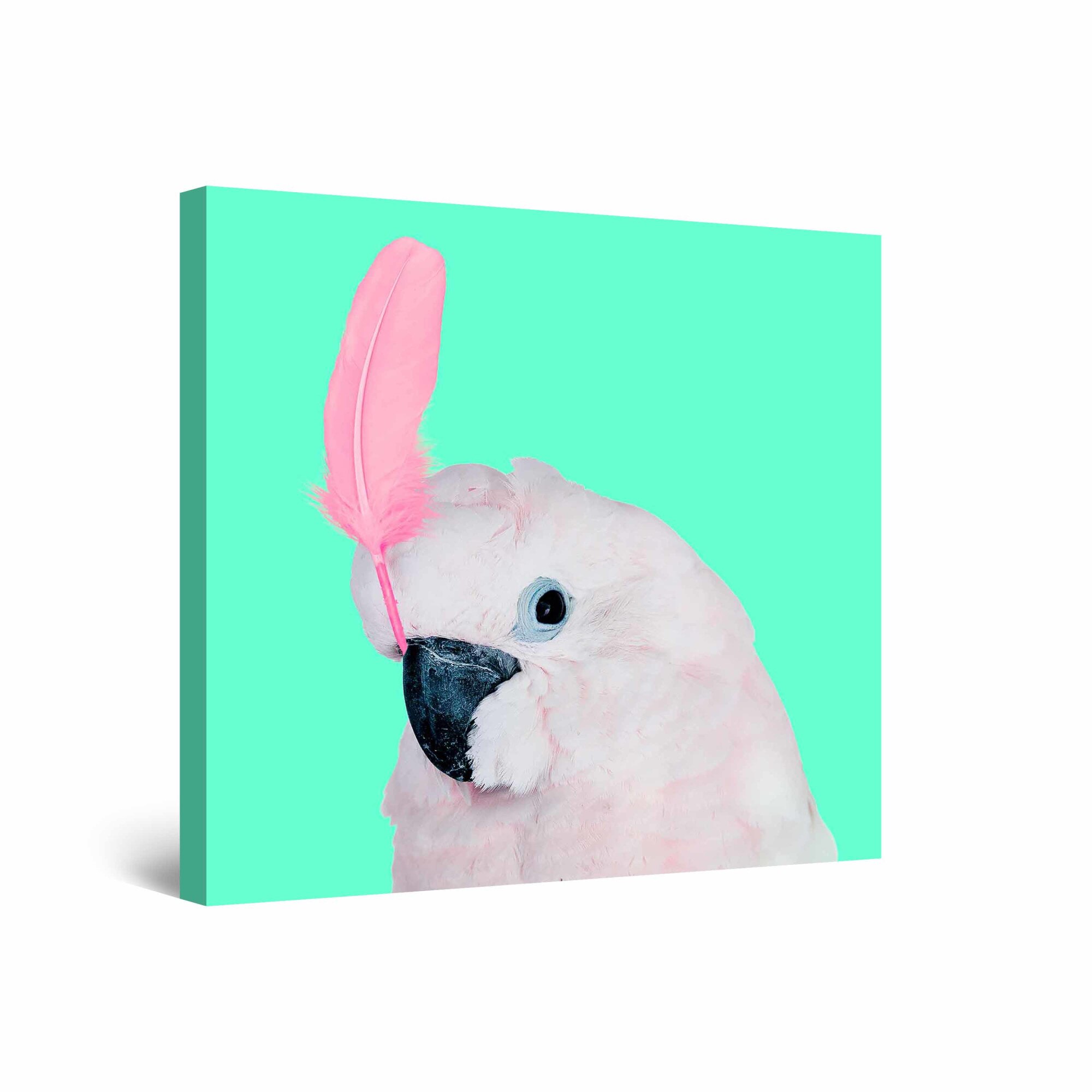 Tablou DualView Startonight Papagal Regal, luminos in intuneric, 30 cm x 30 cm