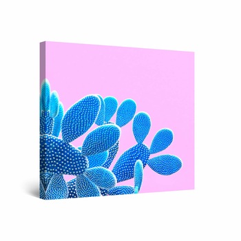 Tablou DualView Startonight Cactus Albastru, luminos in intuneric, 30 cm x 30 cm Tablou DualView Startonight Cactus Albastru, luminos in intuneric, 30 cm x 30 cm
