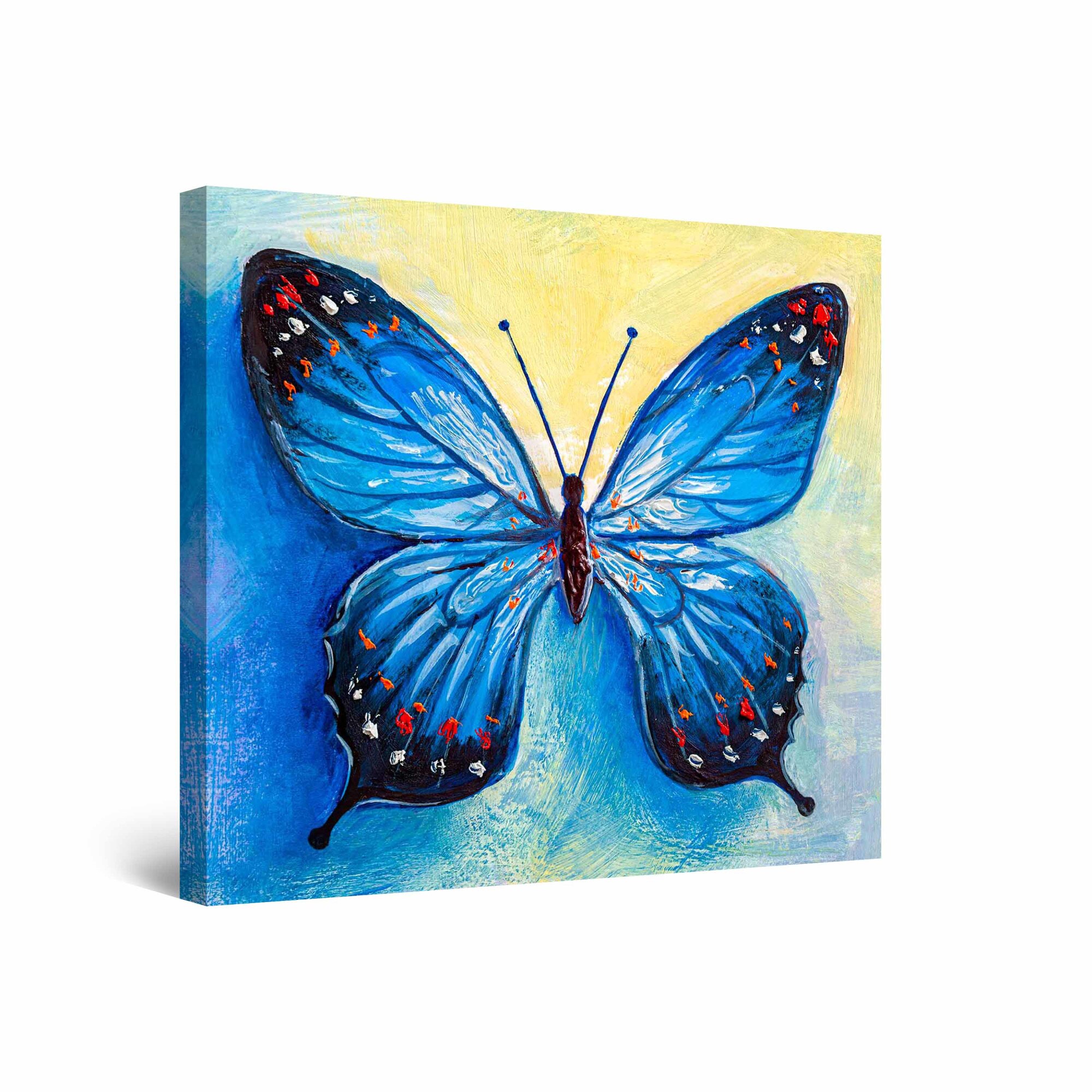 Tablou DualView Startonight Fluture Albastru, luminos in intuneric, 40 cm x 40 cm