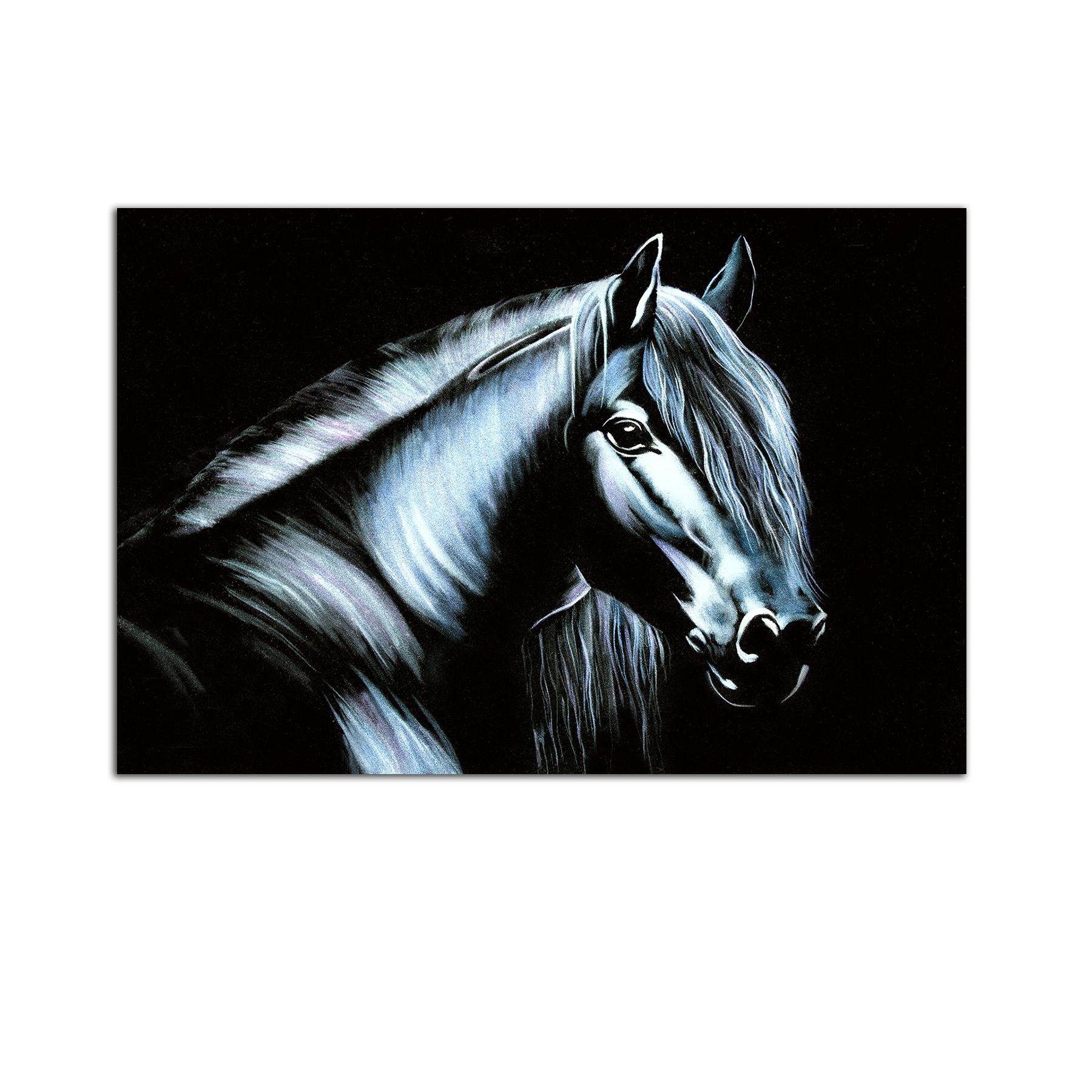 Tablou Startonight pe sticla acrilica Sublim Cal Alb, luminos in intuneric, 60 cm x 40 cm