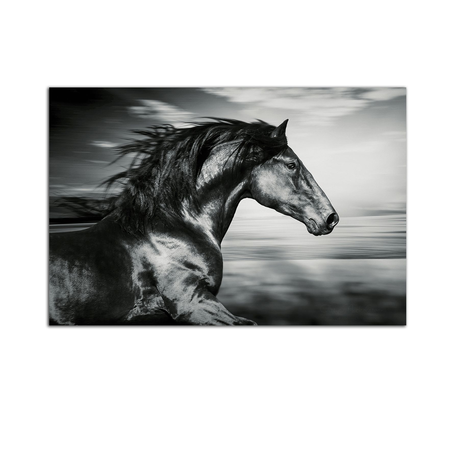 Tablou Startonight pe sticla acrilica Calul Negru, luminos in intuneric, 60 cm x 40 cm
