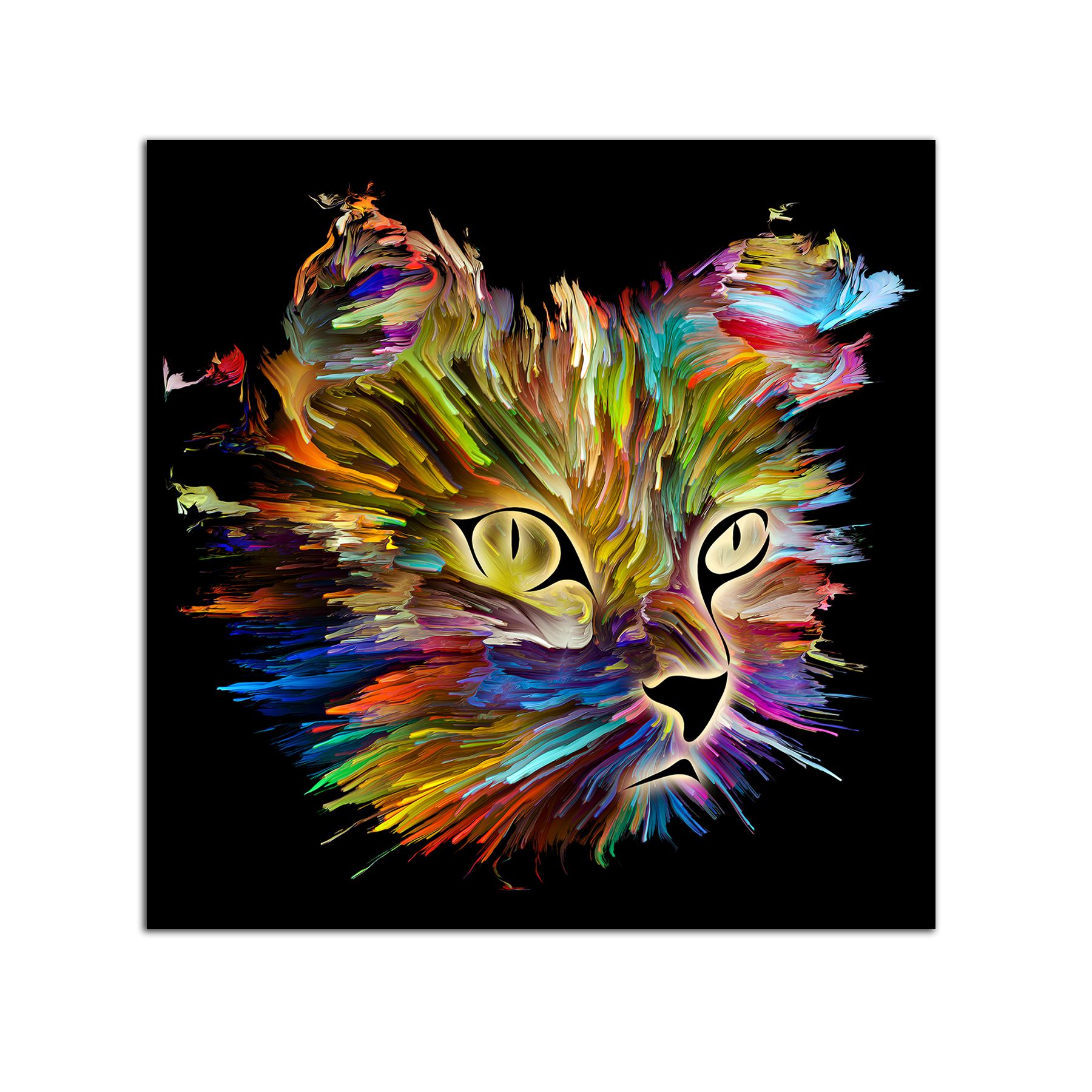 Tablou Startonight pe sticla acrilica Pisica Multicolora, luminos in intuneric, 60 cm x 60 cm