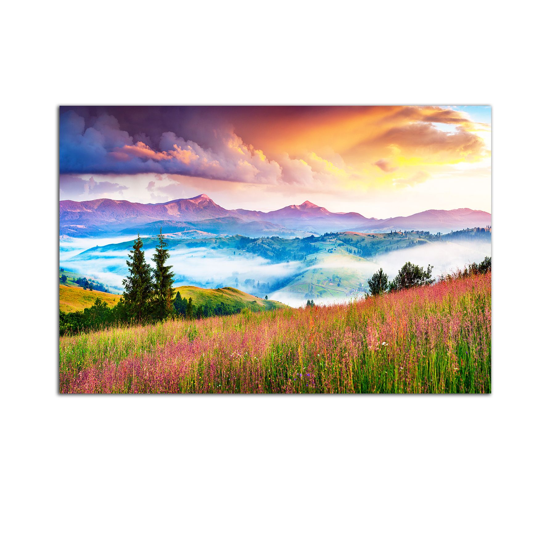 Tablou Startonight pe sticla acrilica Flori de Munte, luminos in intuneric, 90 cm x 60 cm