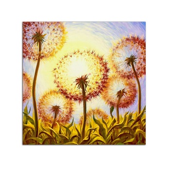 Tablou Startonight pe sticla acrilica Dandelion, luminos in intuneric, 60 cm x 60 cm Tablou Startonight pe sticla acrilica Dandelion, luminos in intuneric, 60 cm x 60 cm