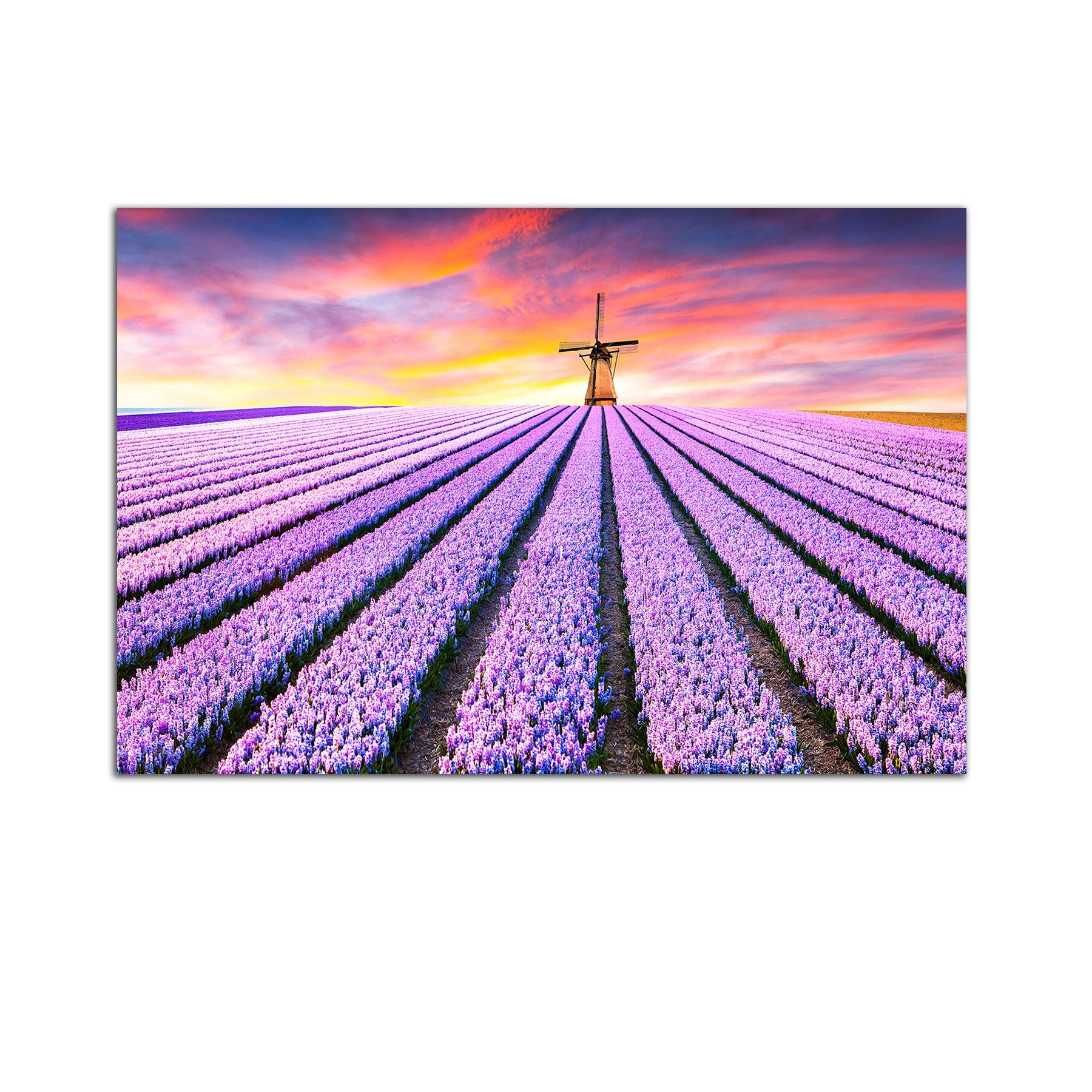 Tablou Startonight pe sticla acrilica Moara de Vant in Lavanda, luminos in intuneric, 90 cm x 60 cm