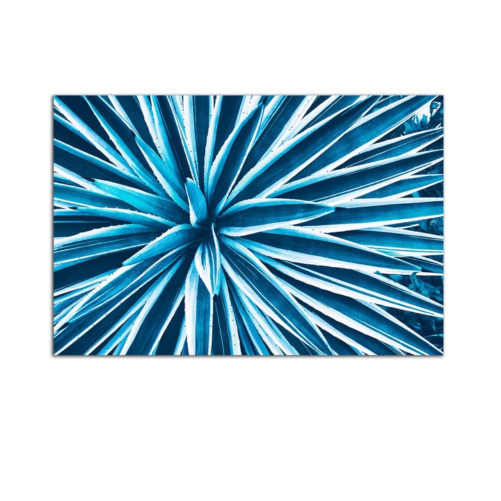 Tablou Startonight pe sticla acrilica Plante Turcoaz, luminos in intuneric, 90 cm x 60 cm