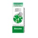 Ulei esential de Busuioc, Eterika, 5 ml